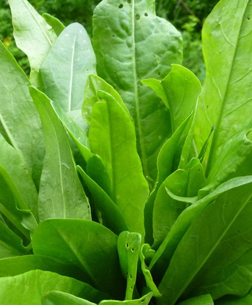 Превью изображения