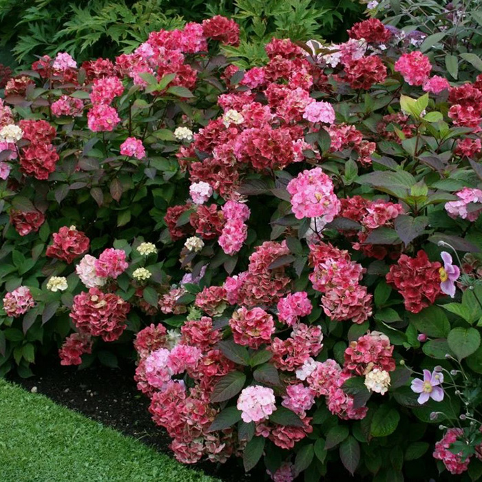 Превью изображения