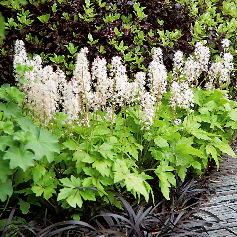 Превью изображения