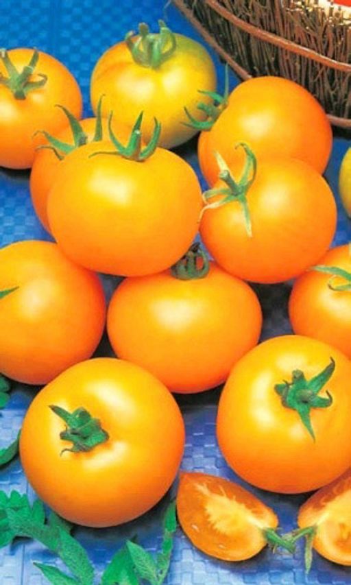 Превью изображения