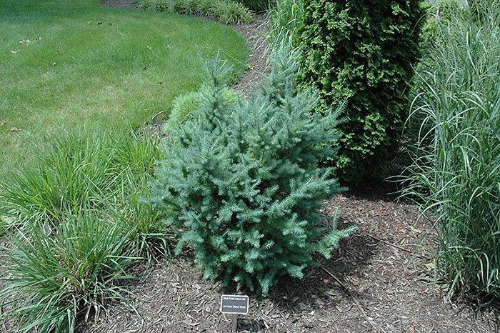 Превью изображения