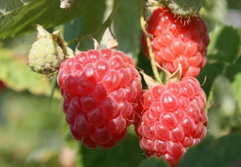 Превью изображения