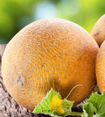 Превью изображения