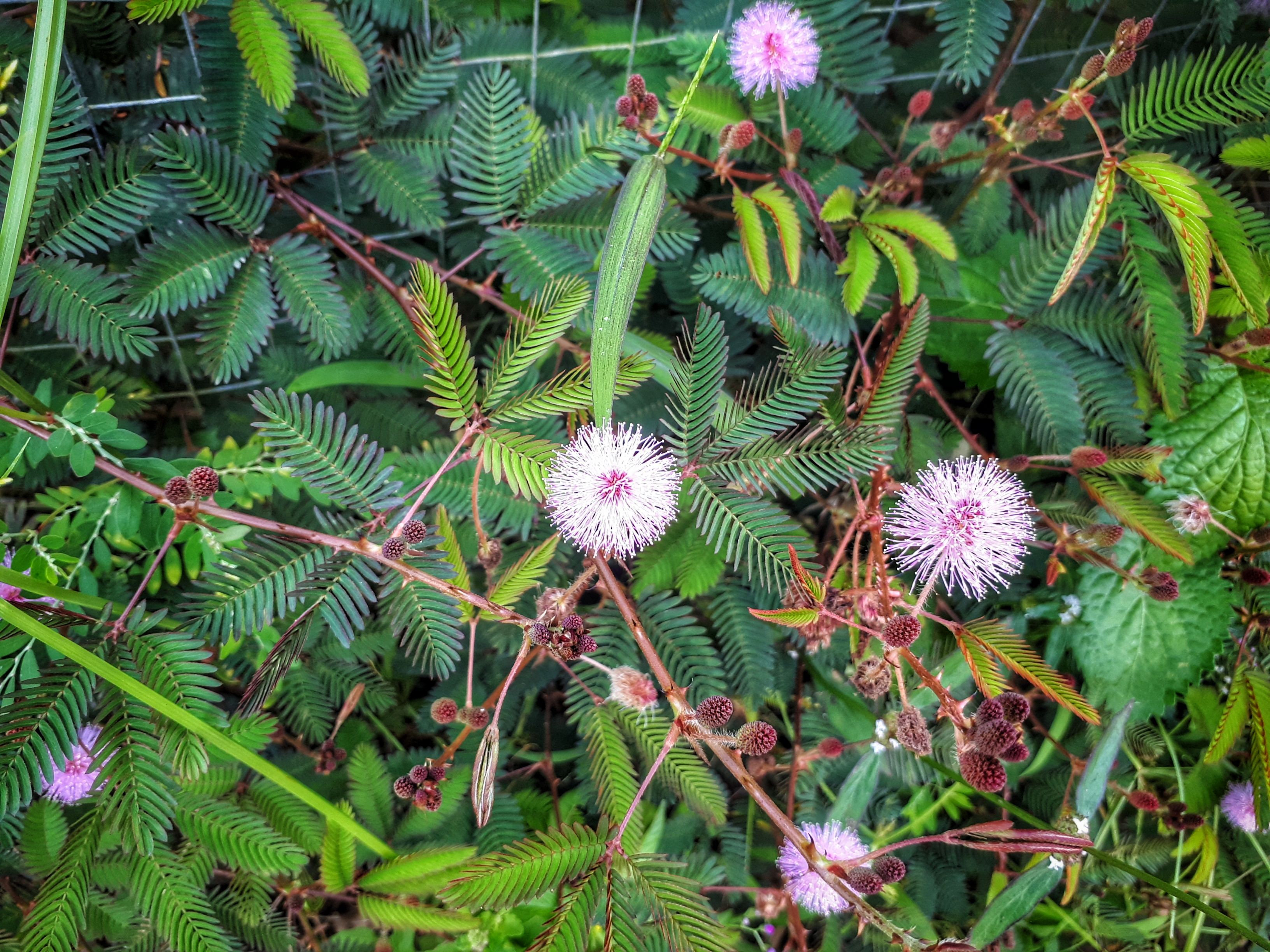 Превью изображения