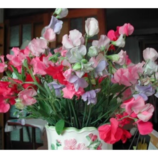 Превью изображения