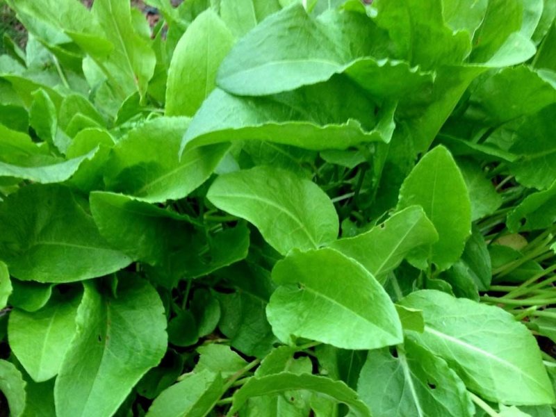 Превью изображения