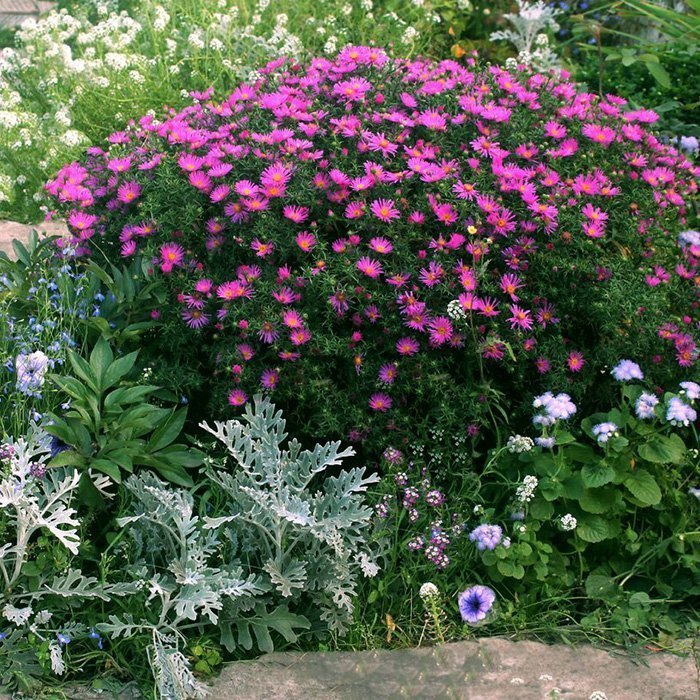 Превью изображения