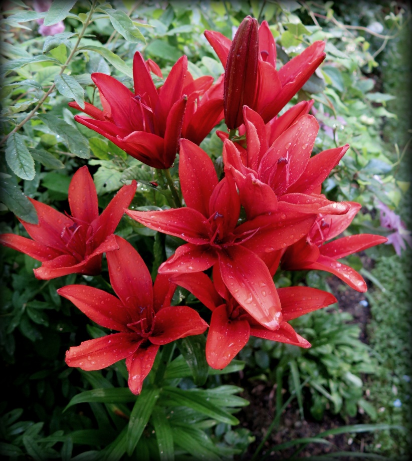 Превью изображения