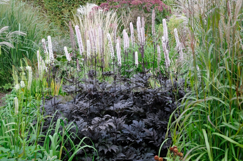 Превью изображения