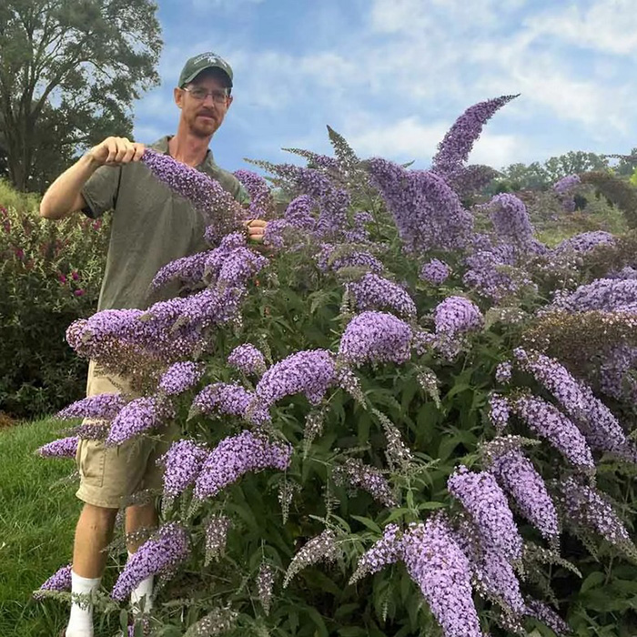 Превью изображения