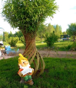 Превью изображения