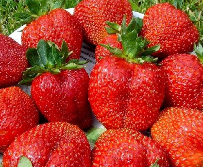 Превью изображения