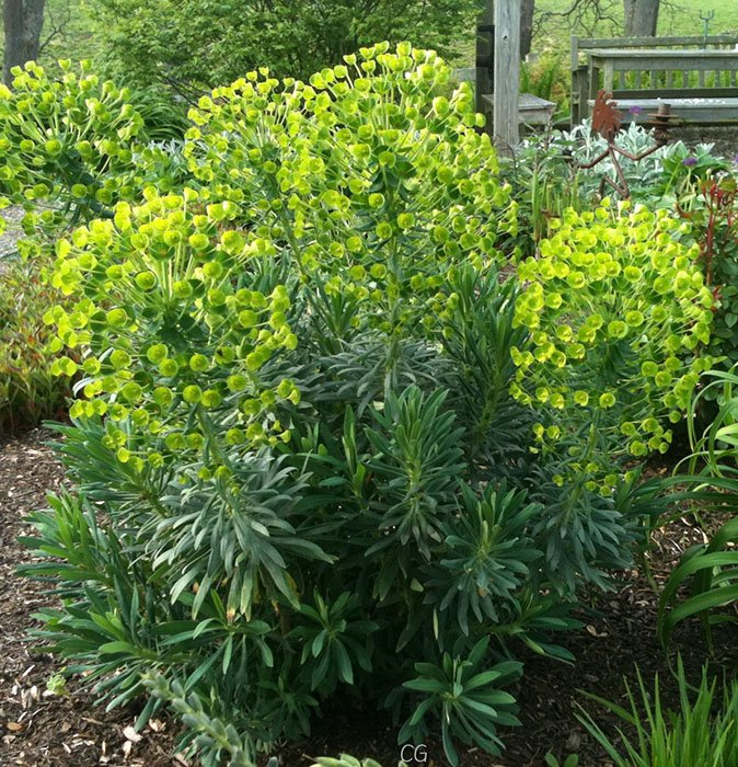 Превью изображения