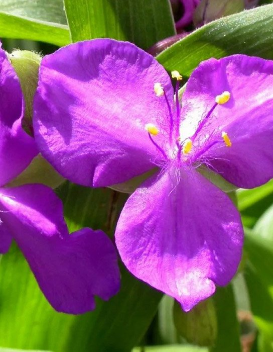 Превью изображения