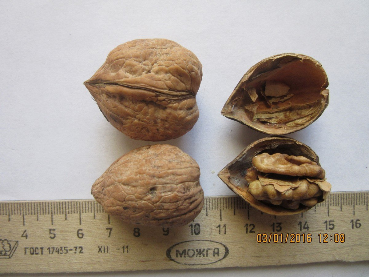 Превью изображения