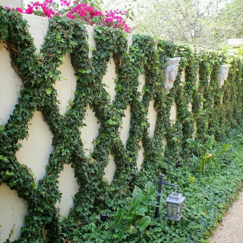 Превью изображения