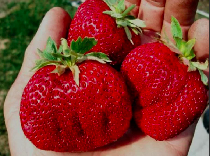 Превью изображения