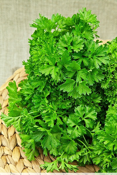 Превью изображения