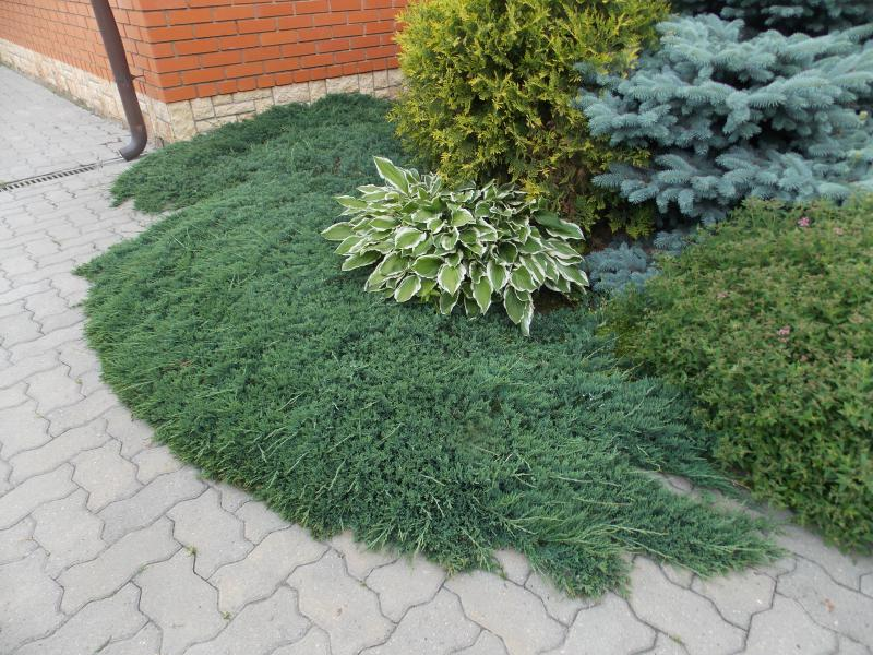 Превью изображения