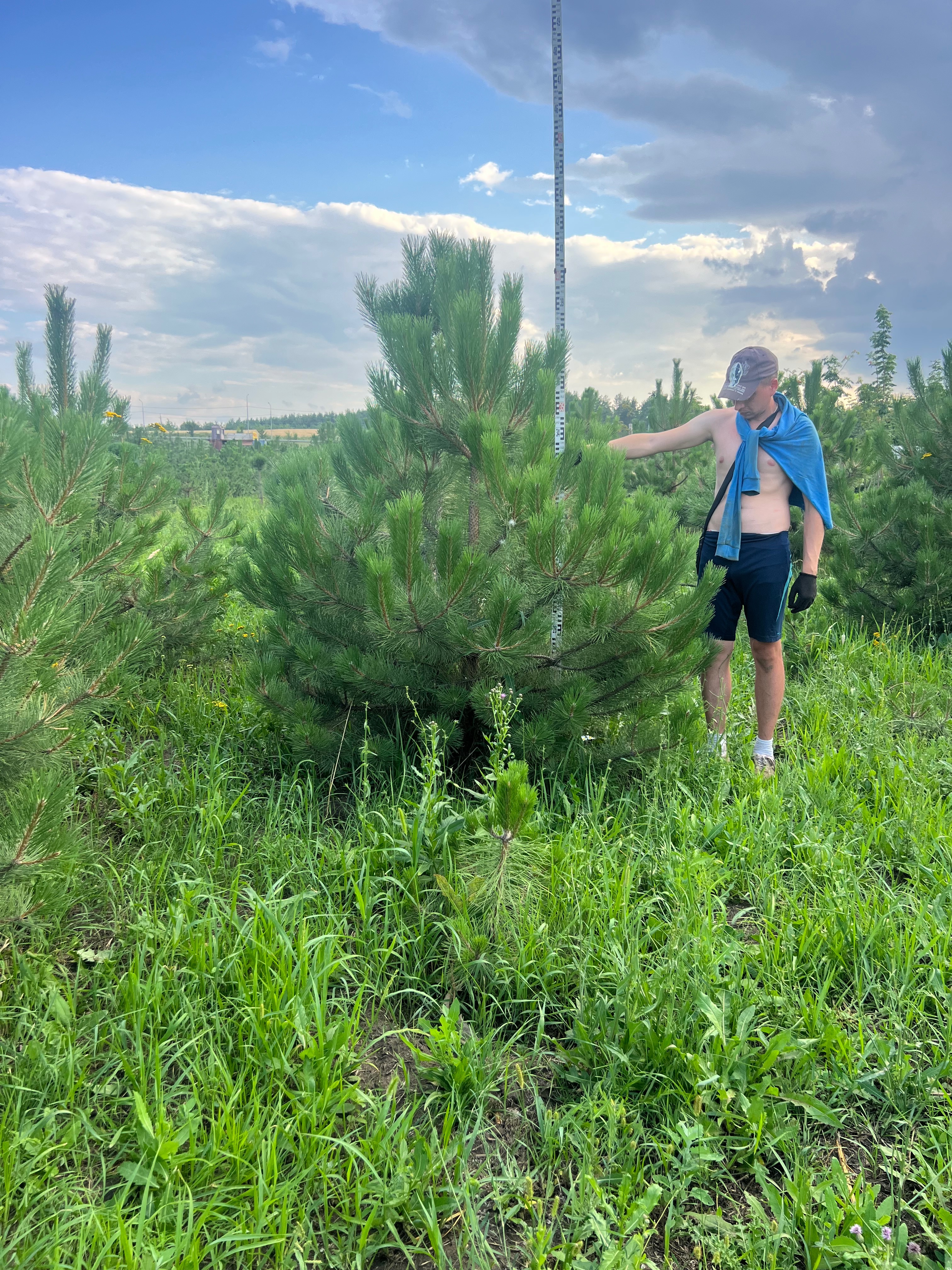 Превью изображения