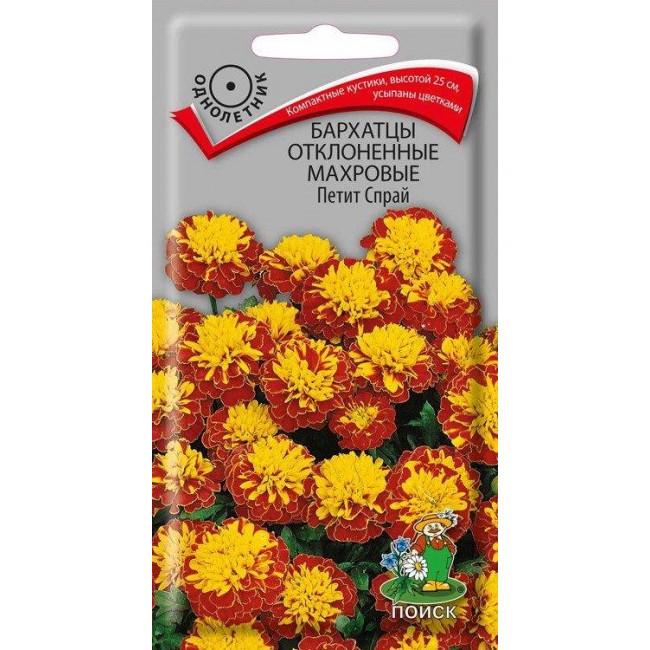 Превью изображения