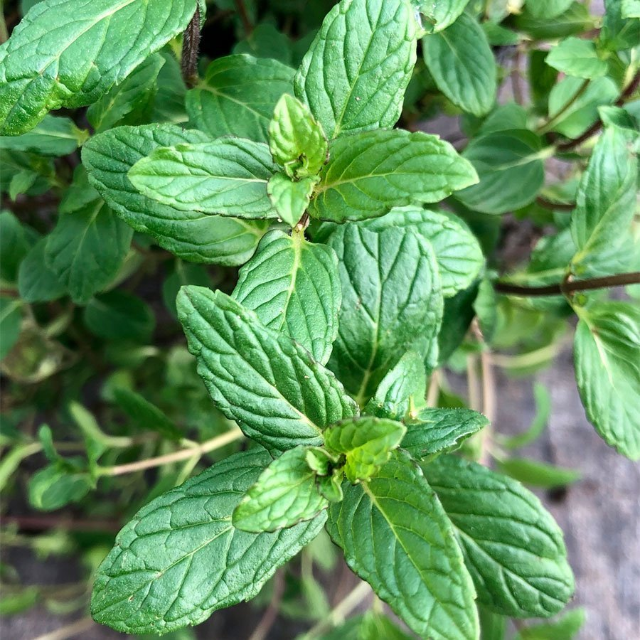 Превью изображения