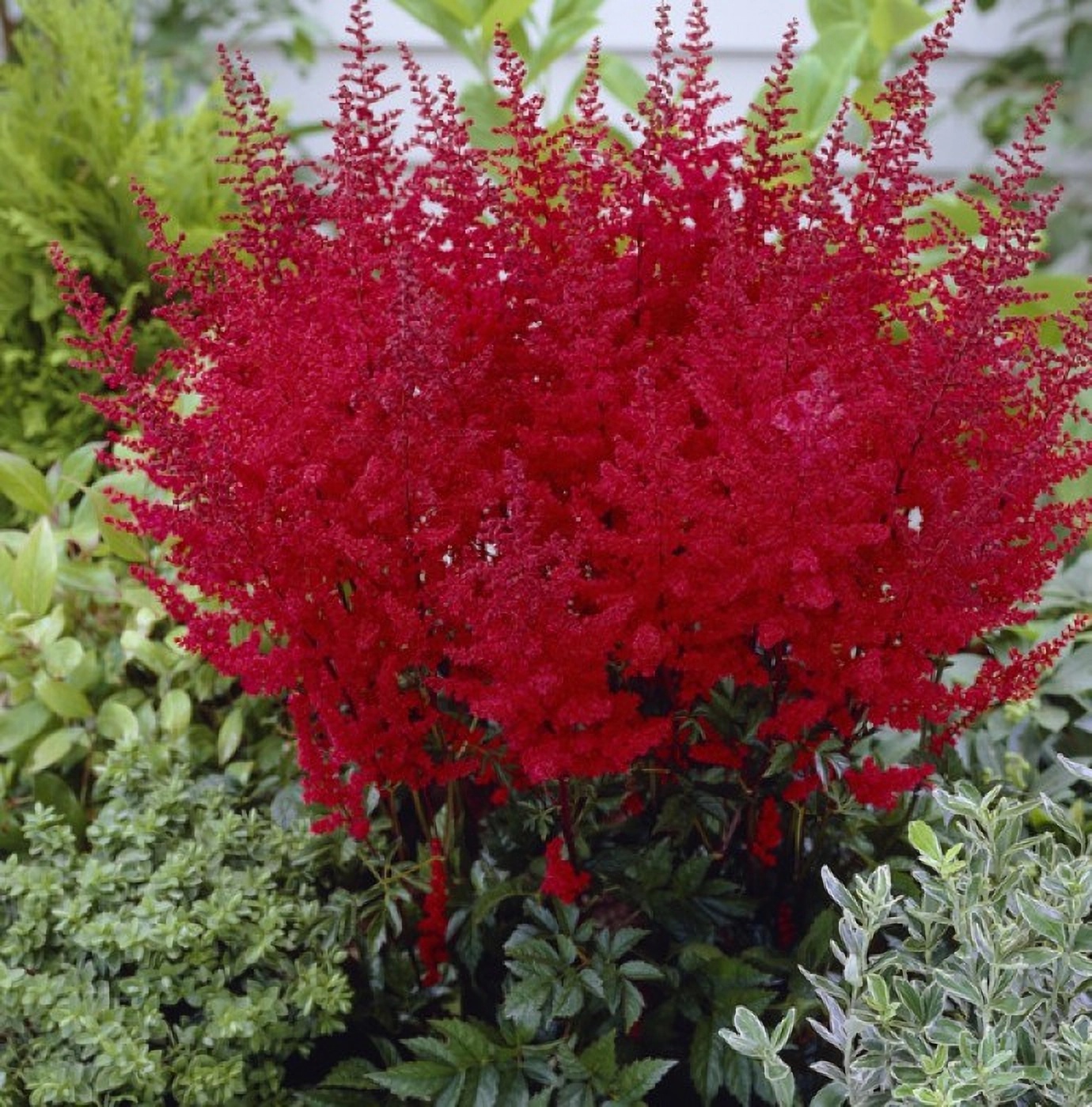 Превью изображения