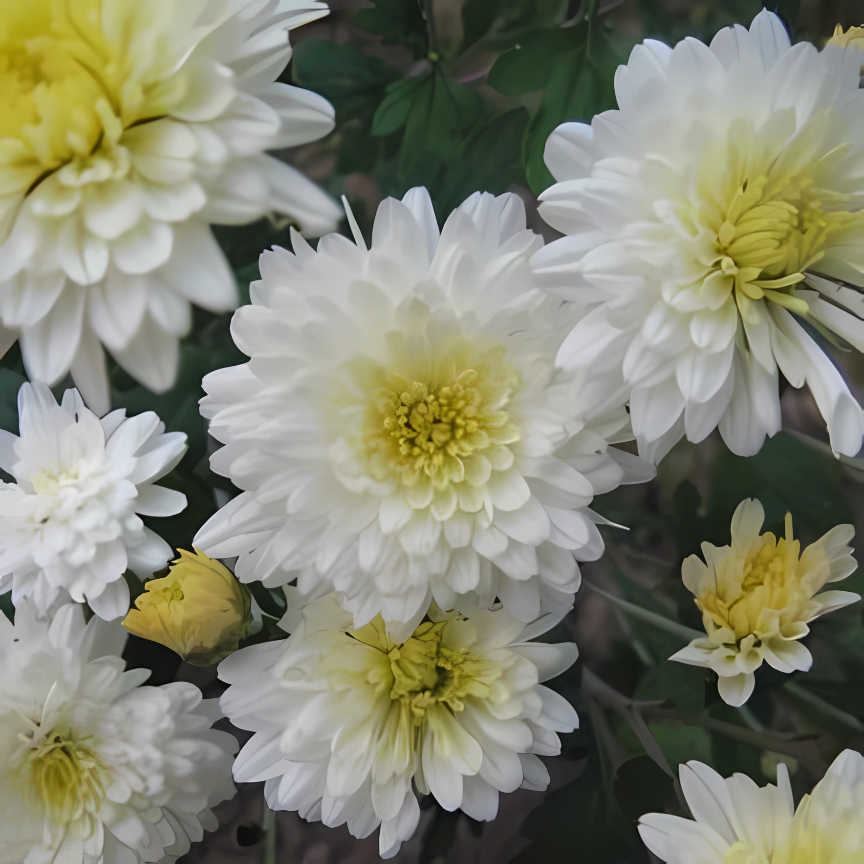 Превью изображения