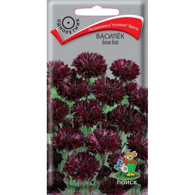 Превью изображения