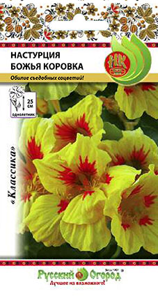 Превью изображения