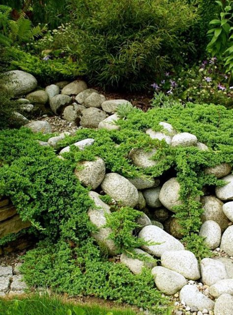 Превью изображения