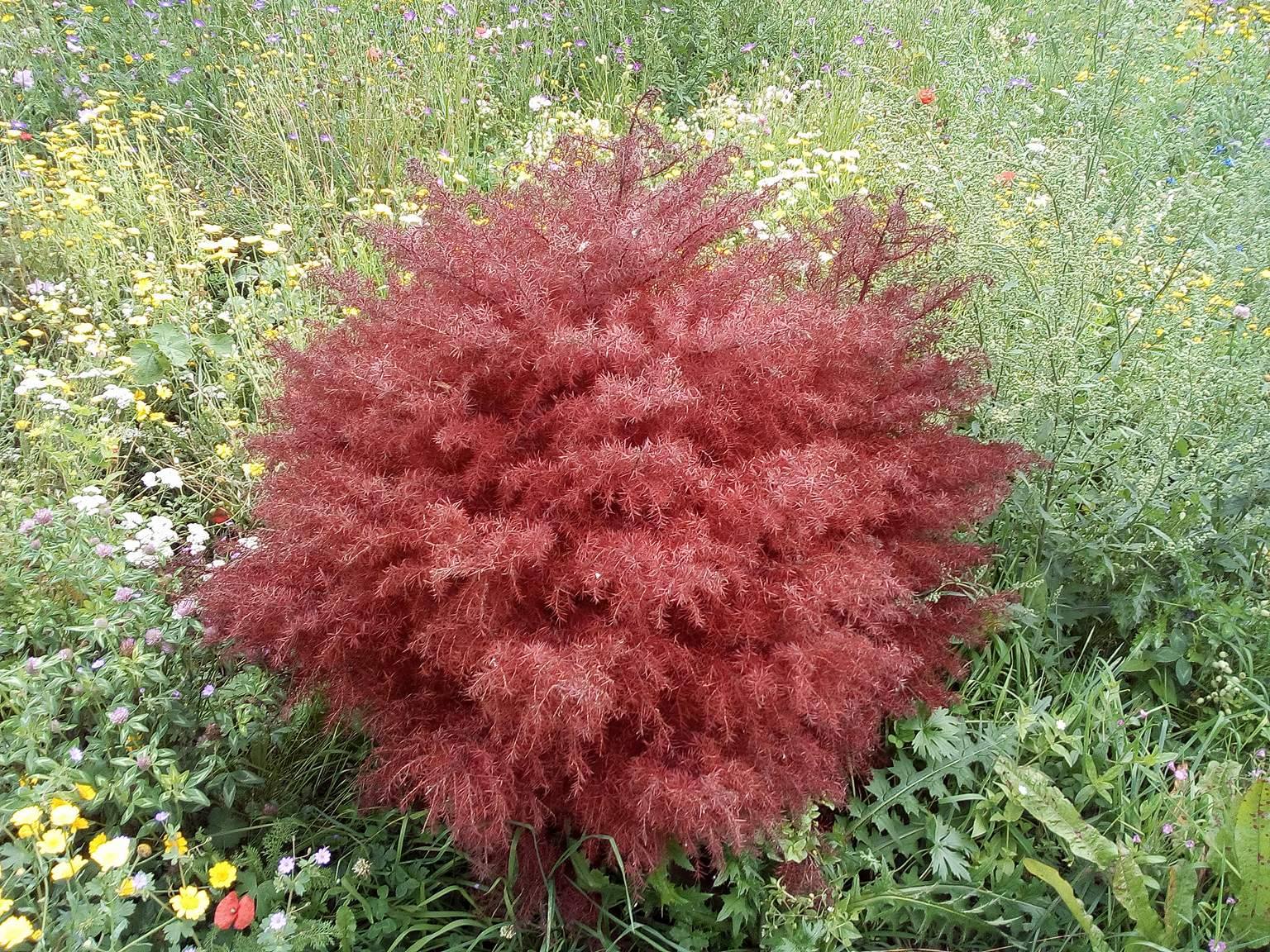 Превью изображения