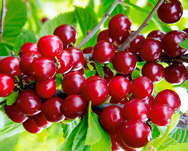 Превью изображения