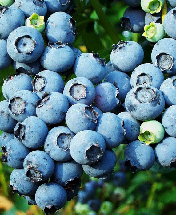 Превью изображения