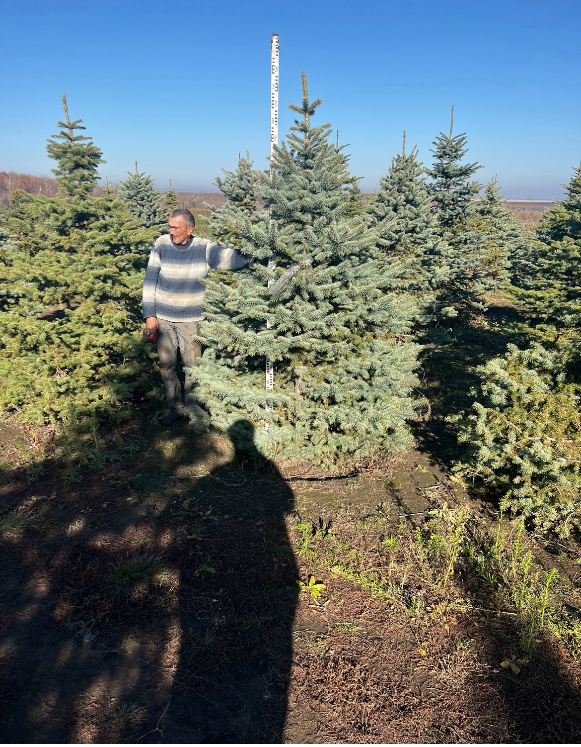 Превью изображения