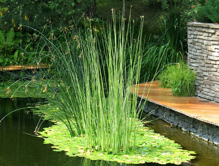 Превью изображения