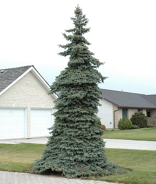 Превью изображения