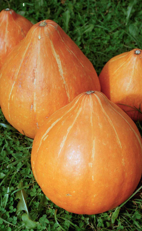 Превью изображения