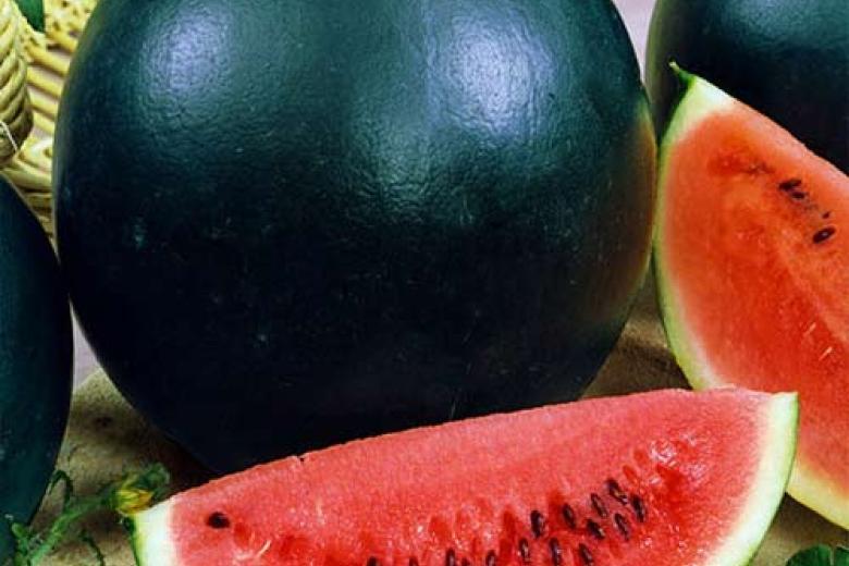 Превью изображения