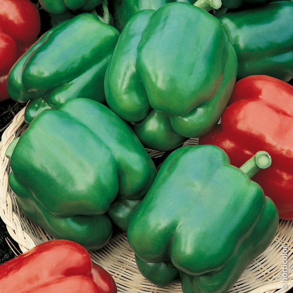 Превью изображения