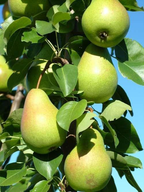 Превью изображения