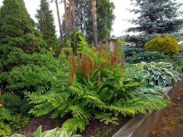 Превью изображения