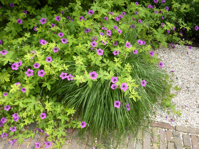 Превью изображения