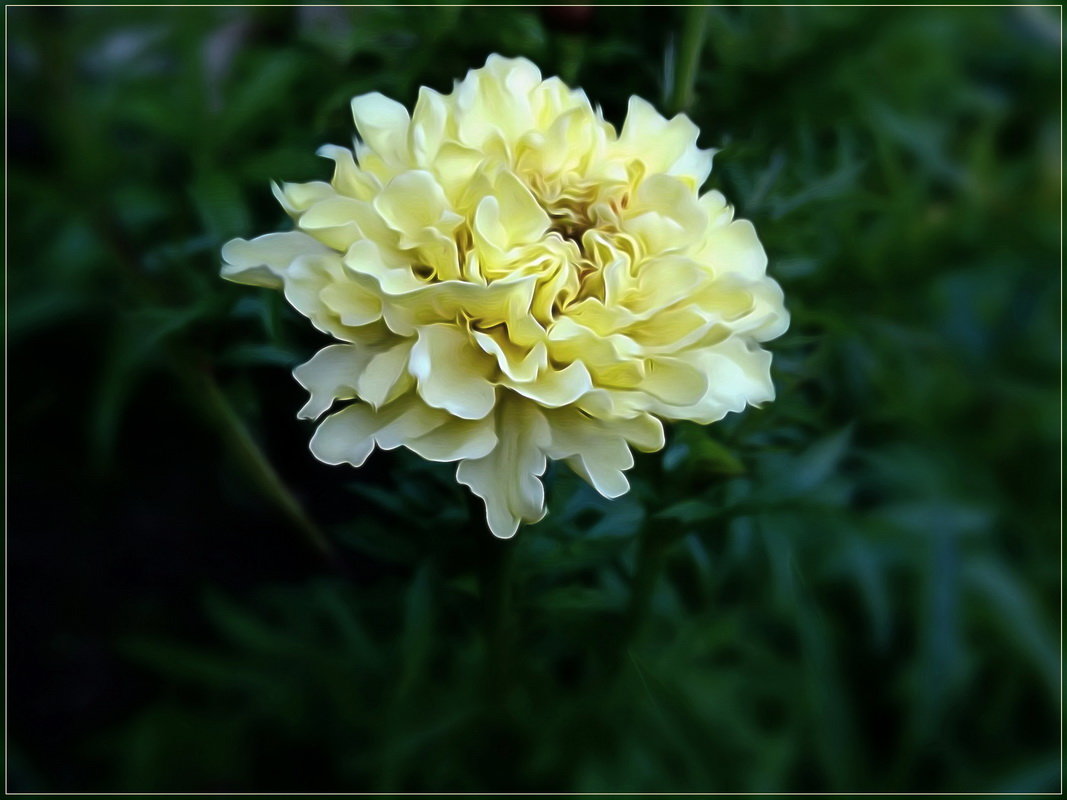 Превью изображения