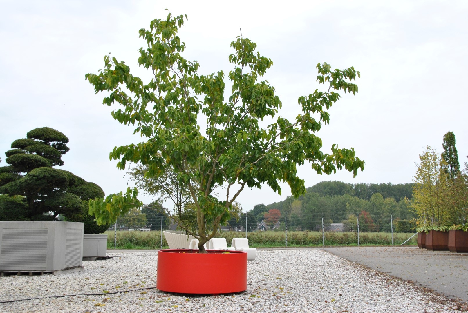 Превью изображения