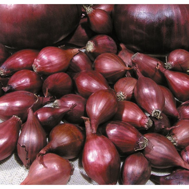 Превью изображения