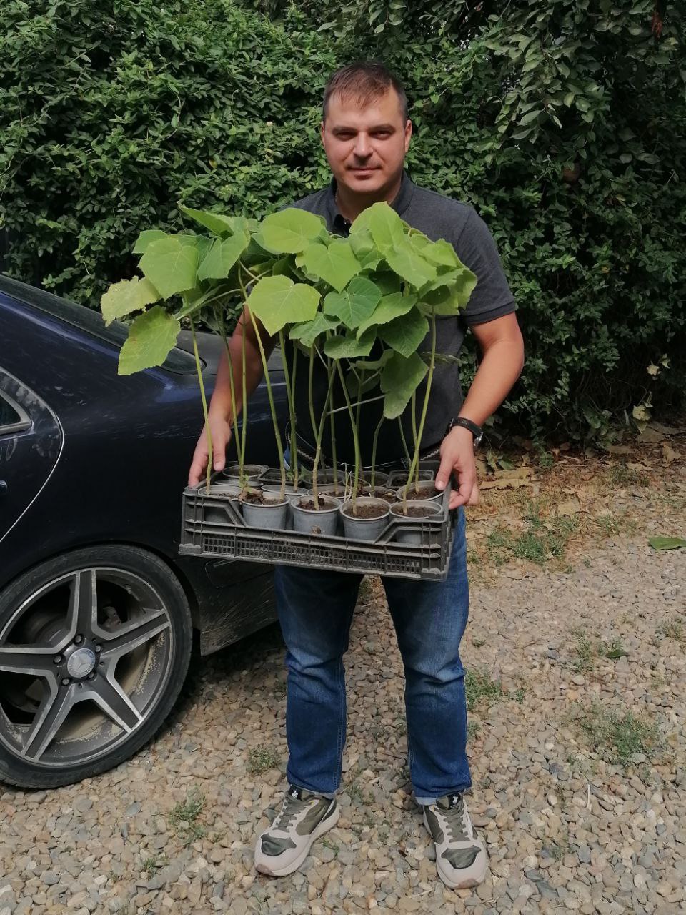 Превью изображения