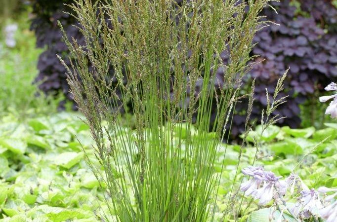 Превью изображения