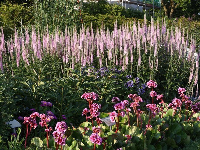 Превью изображения