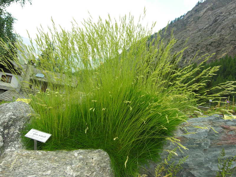 Превью изображения